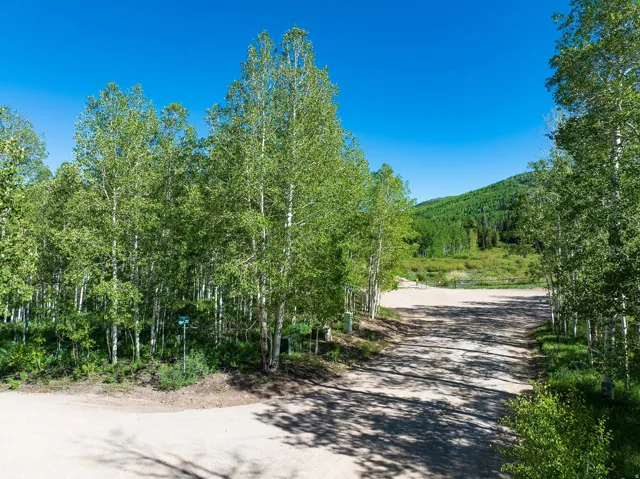 Wooded landscape featuring a dirt road intersection, mature deciduous trees, and distant green hills