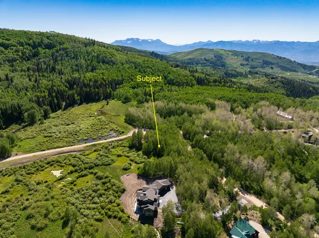 Expansive undeveloped land parcel surrounded by abundant mature trees and natural vegetation