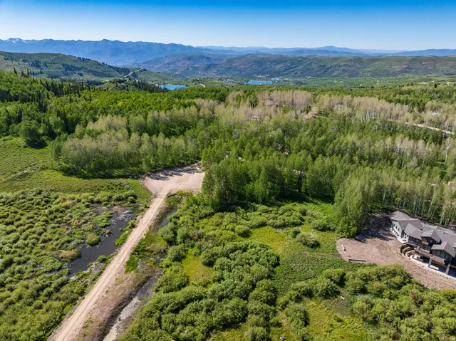 Expansive natural landscape featuring lush green foliage, mature trees, and mountainous terrain in the distance