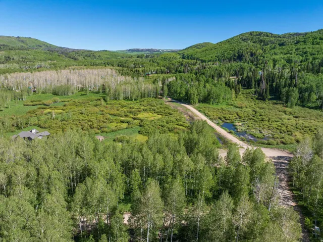 Extensive natural landscape featuring a winding dirt road, diverse tree coverage including aspens, and a small body of water