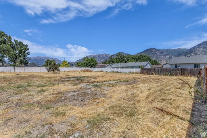 Expansive land parcel featuring a mountain backdrop, mature trees, partial fencing, and clear skies