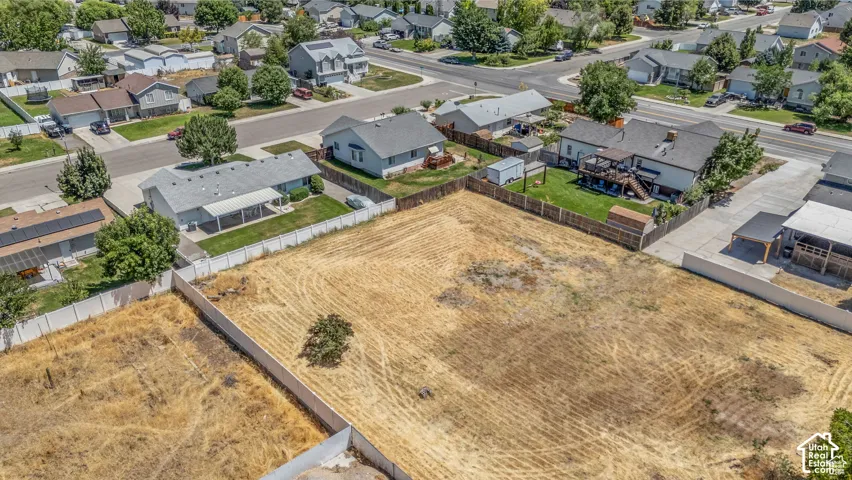Expansive undeveloped lot presenting open space and a single mature tree