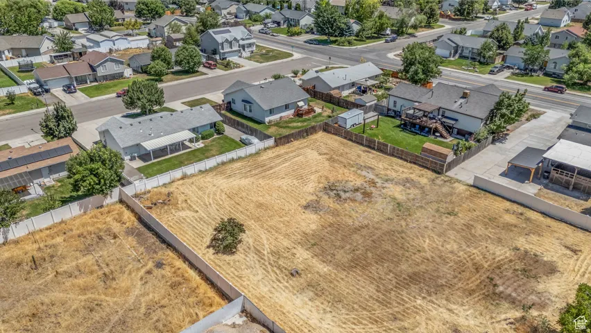 Expansive undeveloped lot presenting open space and a single mature tree