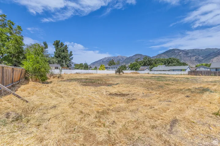 Expansive undeveloped lot featuring clear land and mature perimeter trees
