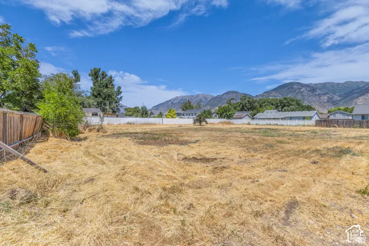 Expansive undeveloped lot featuring clear land and mature perimeter trees