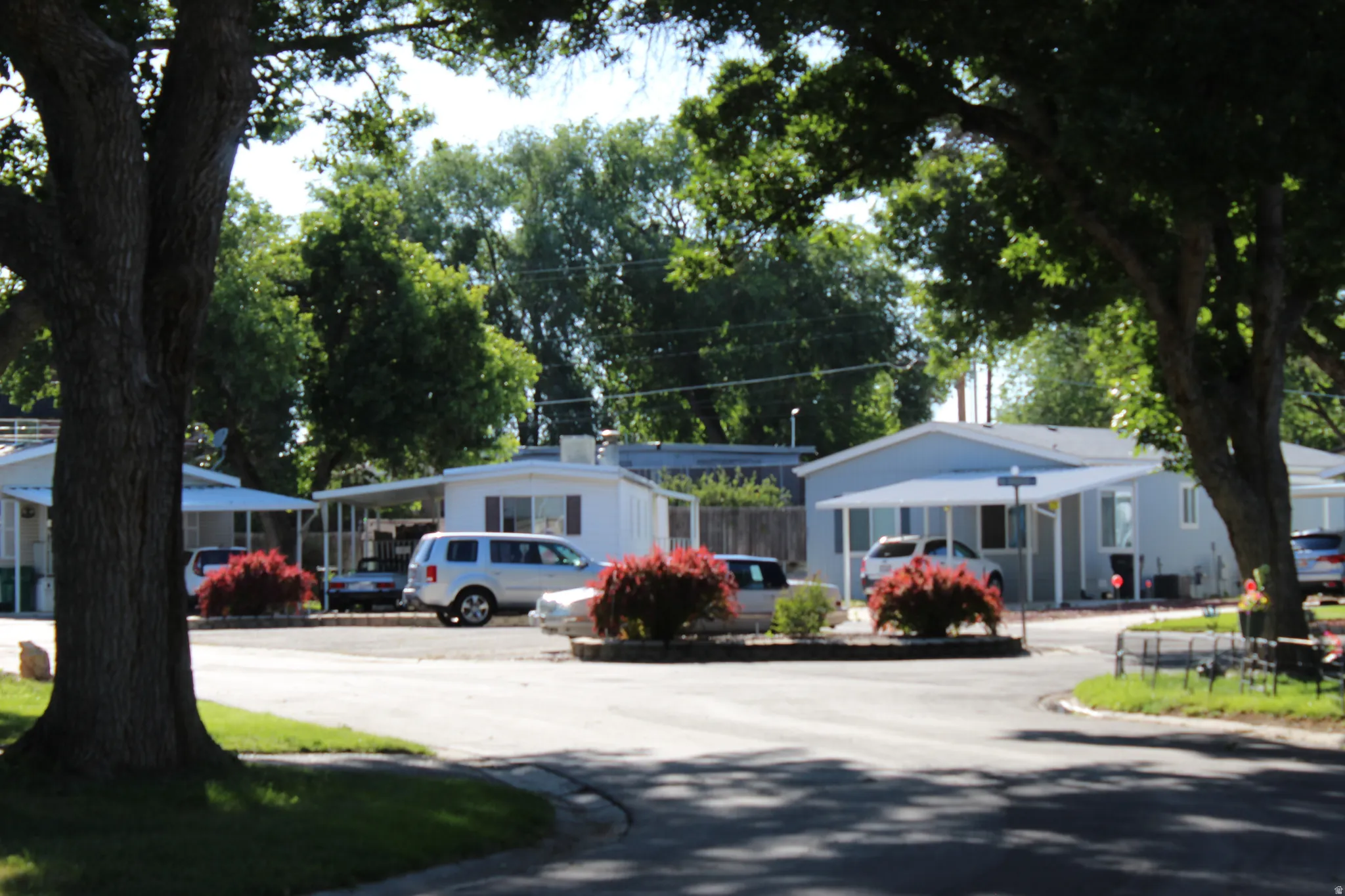 Residential streetscape with plenty of extra parking  featuring mature trees, a paved roadway, and manicured shrubbery