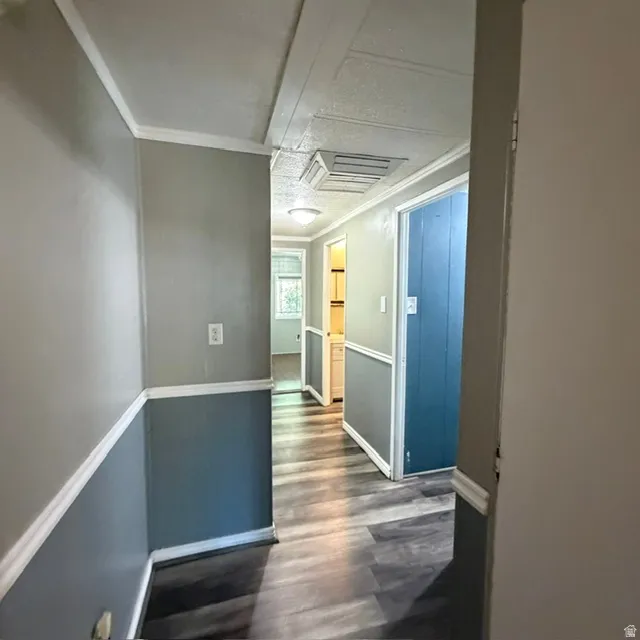 Hallway with wood-finish flooring, two-tone wall paint, and white trim. View from the first bedroom.
