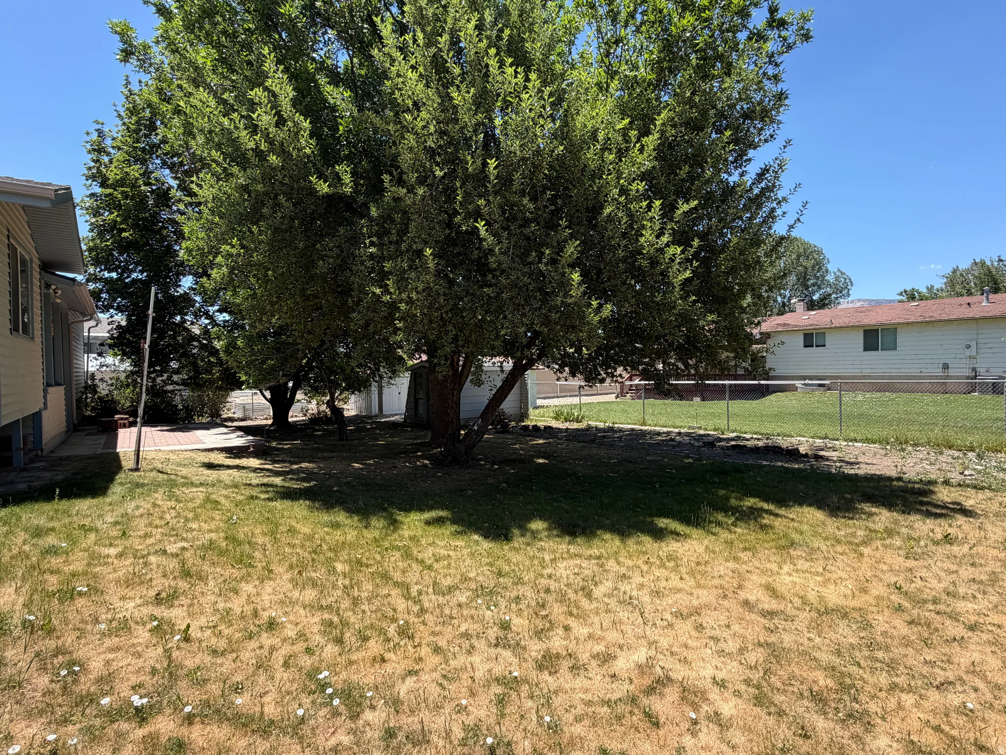 Expansive backyard featuring mature trees providing ample shade and a chain-link fence