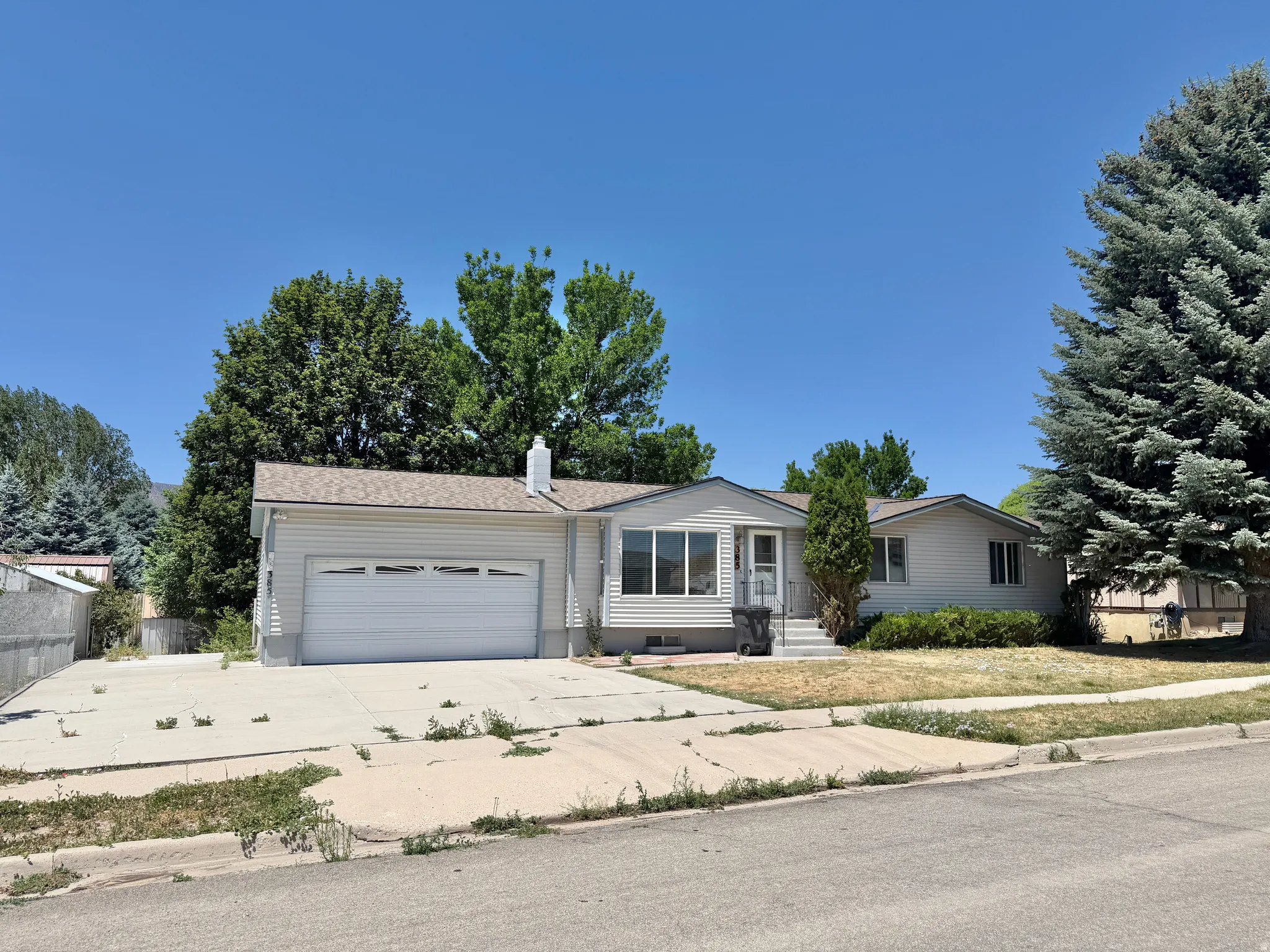 Single-story residence featuring light-colored siding, an attached garage with a panel door, and a concrete driveway