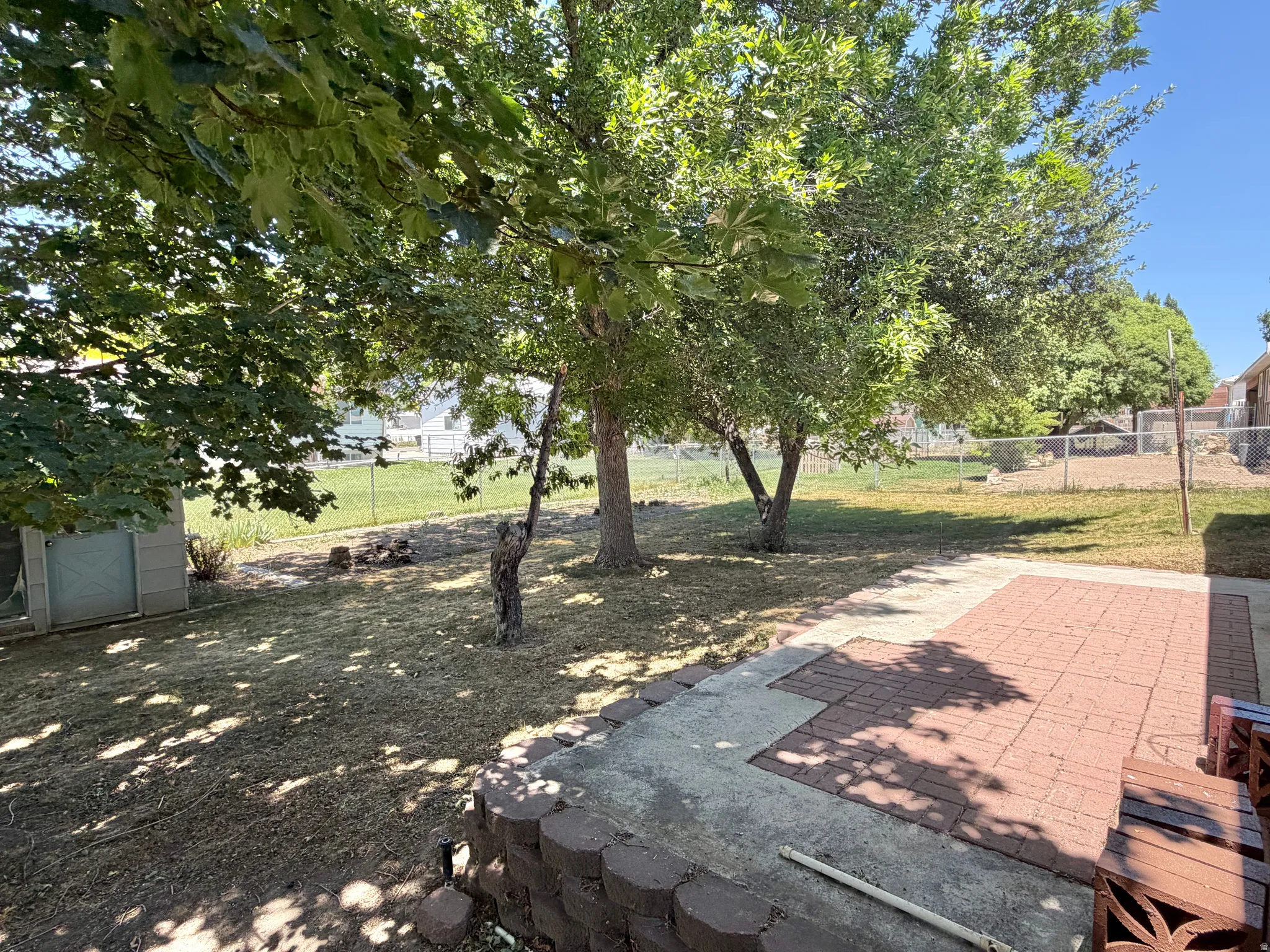 Expansive backyard featuring mature trees, a chain-link perimeter fence, and a storage shed