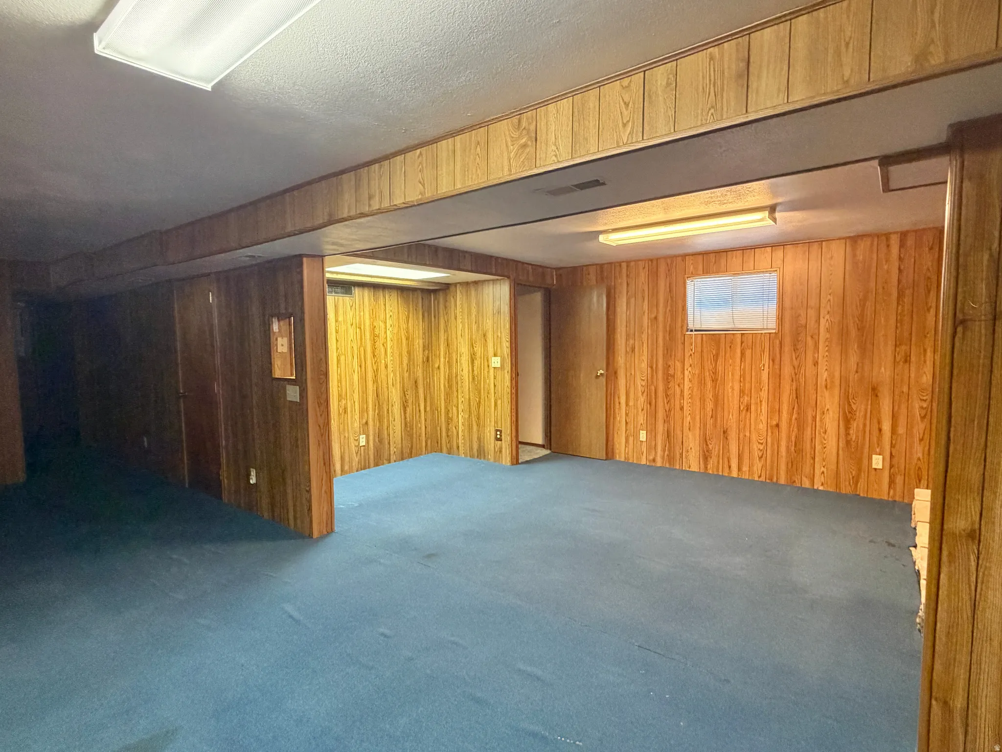 Spacious room featuring wood-finish paneling, blue carpeting, and fluorescent lighting