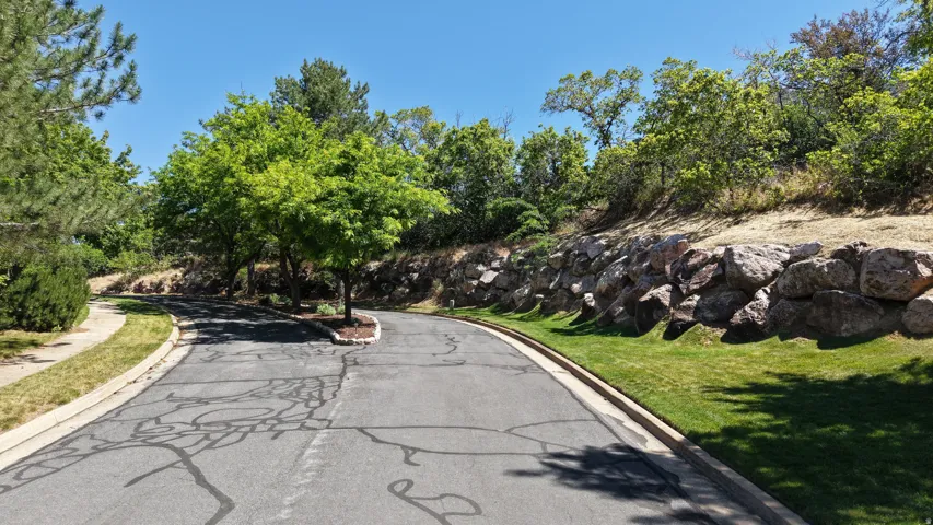 South End View of Lot - Paved roadway with mature tree landscaping and a natural rock retaining wall