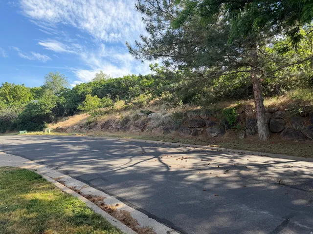 Street View South West - Paved street frontage with a concrete curb and grassy verge, bordered by a natural rock retaining wall