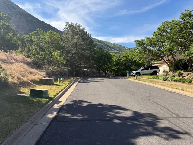 Street View Looking South - Paved street with concrete curbing, flanked by green grass and mature trees