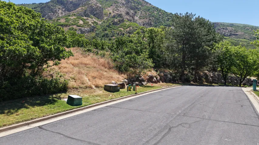 Lot from the North West  - Paved residential street with curb and gutter, bordered by natural landscaping including mature trees, shrubs, and a mountain backdrop