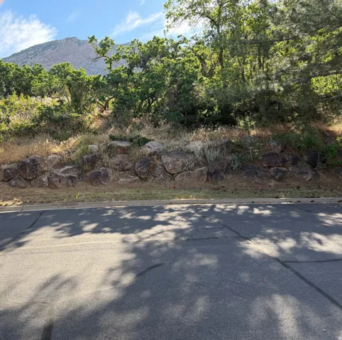 Street View  West - Natural rock retaining wall with varied boulders