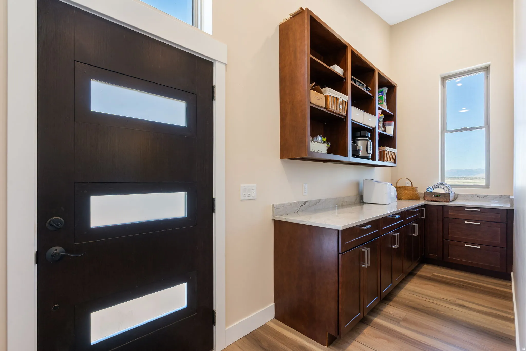Modern dark-paneled door with frosted glass inserts