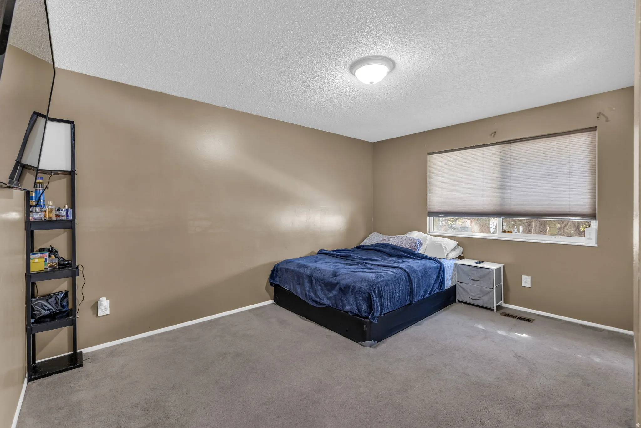 Carpeted room with a textured ceiling, a flush-mount ceiling light fixture, and a window with blinds