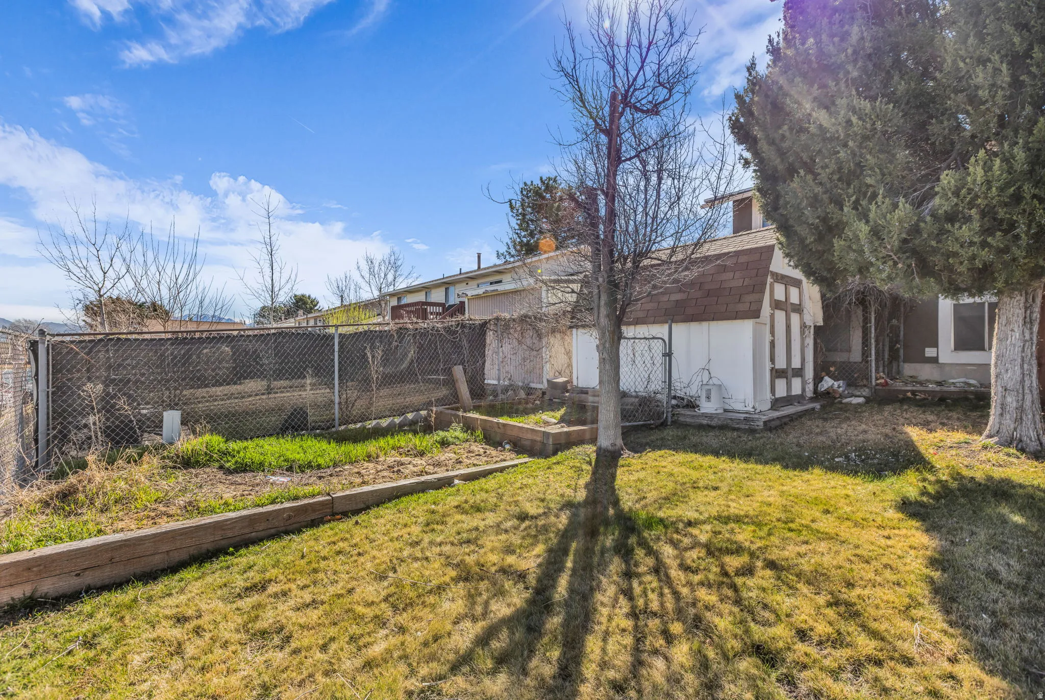 Backyard featuring a freestanding storage shed with a shingle roof, a chain-link fence, and raised garden beds
