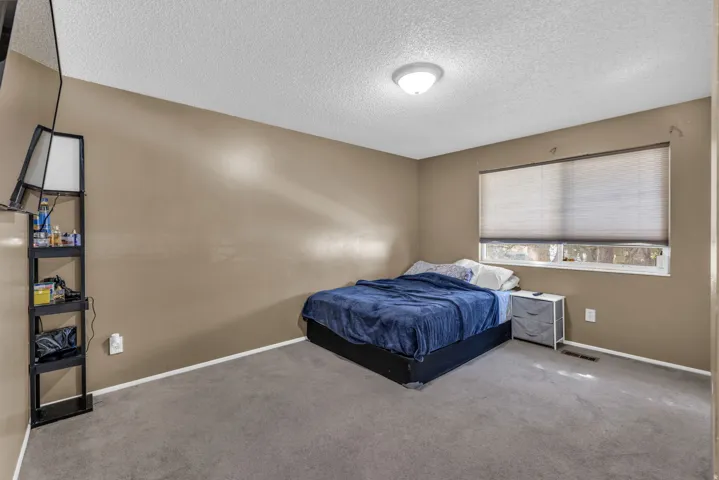 Carpeted room with a textured ceiling, a flush-mount ceiling light fixture, and a window with blinds