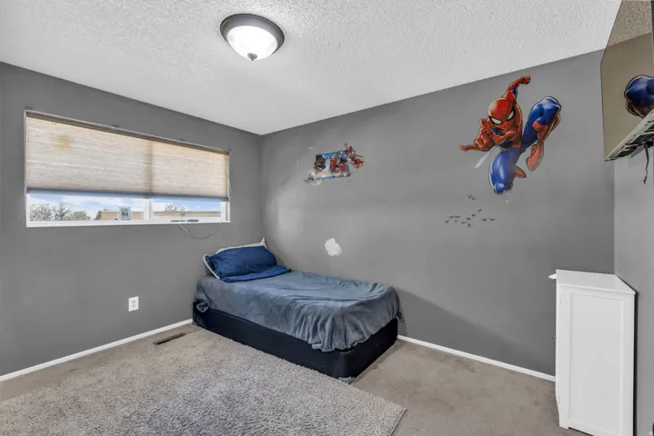 Room featuring gray painted walls, a single window with roller blinds, a flush mount ceiling light fixture, and carpet flooring