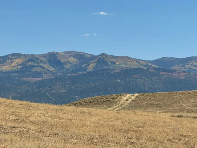 Rolling terrain featuring natural grasses and a distant mountain range