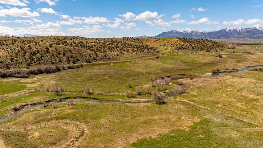 Expansive green landscape featuring a winding river, rolling hills, scattered deciduous trees, and distant snow-capped mountains under a blue sky with clouds
