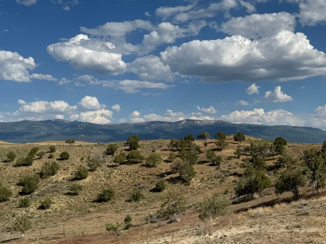 Rolling hills with scattered trees and a distant mountain range featuring snow-capped peaks