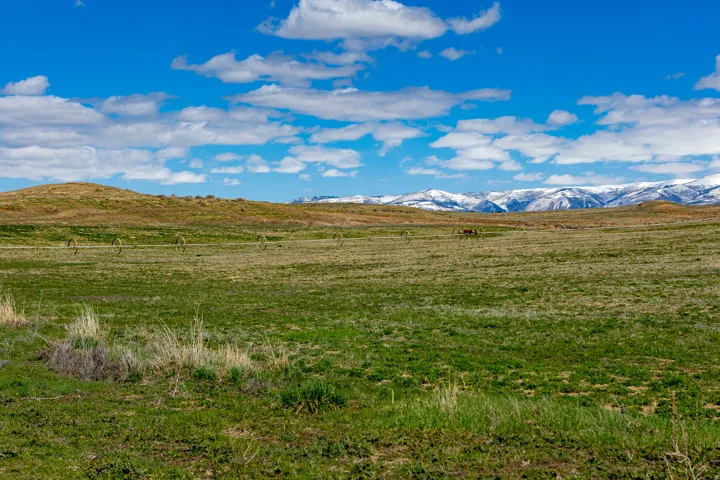 Expansive grass-covered landscape with distant snow-capped mountains