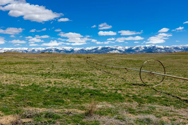 Expansive open field with green and brown grass, featuring a visible irrigation system
