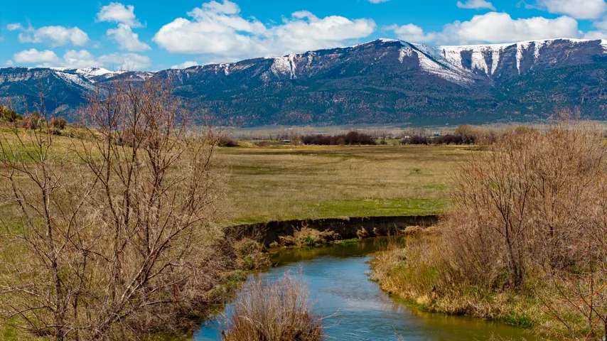 Natural water feature with surrounding vegetation and distant snow-capped mountains