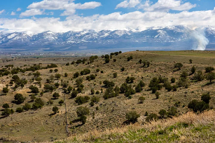 Expansive natural landscape featuring rolling hills and scattered green foliage
