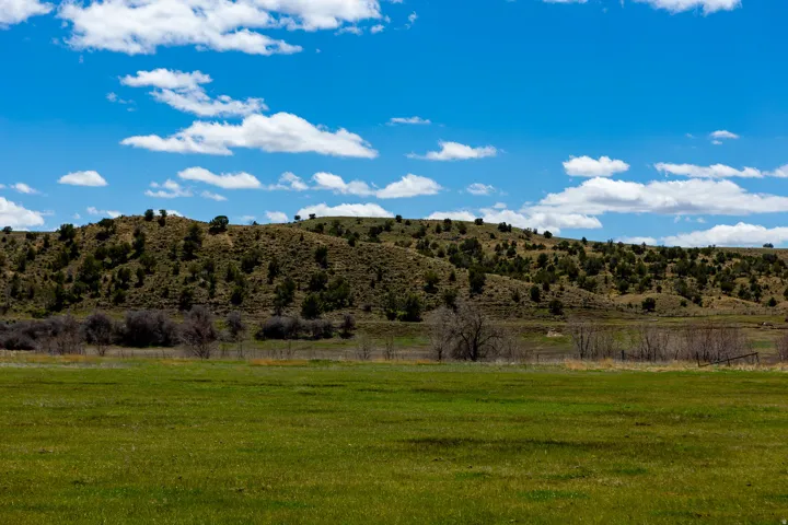 Expansive green field extending to a distant tree-covered hillside under a blue sky with scattered clouds