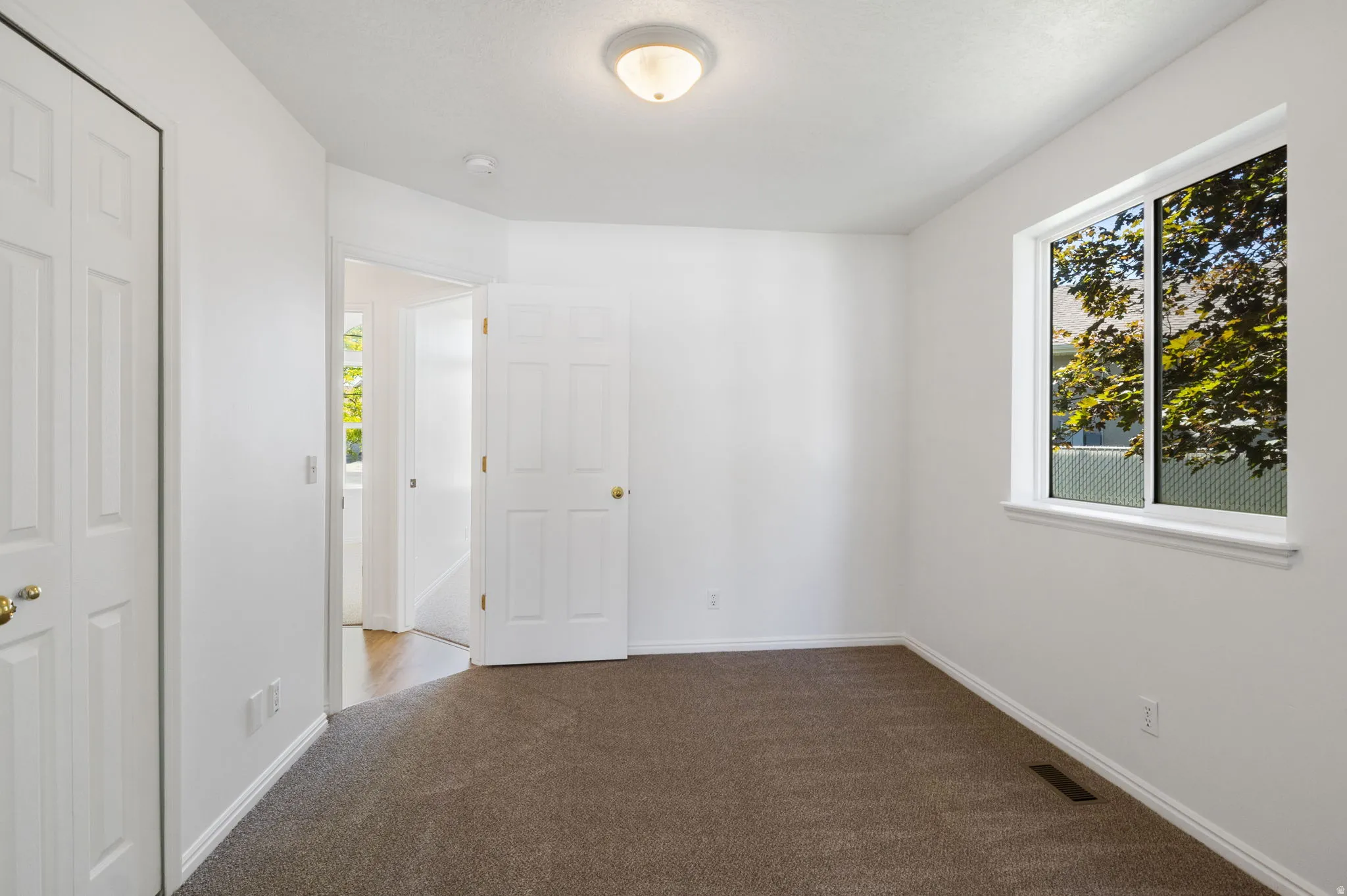 Room featuring neutral wall finishes, brown carpet flooring, a large window, a ceiling-mounted light fixture, and two panel doors