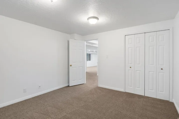 Neutral tone interior featuring carpet flooring, white walls, and bright overhead lighting