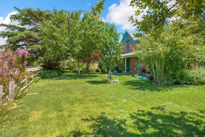 Expansive front lawn with mature trees and established landscaping
