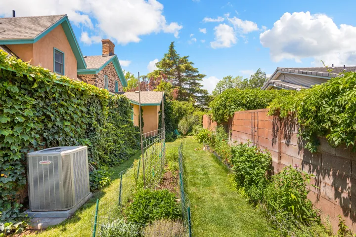 Garden pathway featuring mature plantings and established privacy foliage