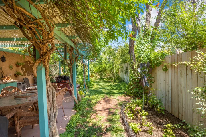 Covered patio with an established vine canopy and teal-painted structural posts