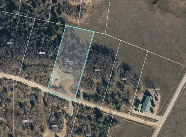 Outline of lot 208