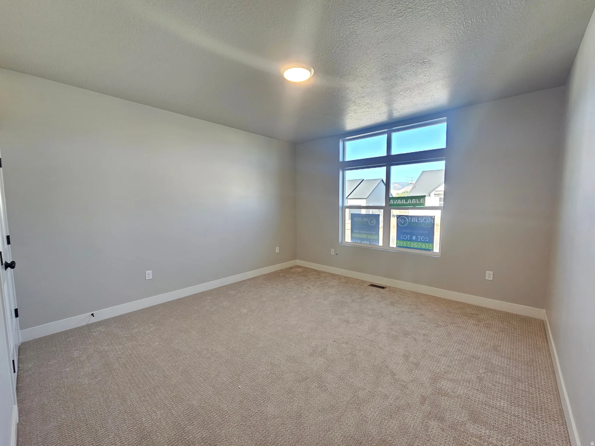 Carpeted room featuring a large multi-pane window, neutral wall paint, and white trim