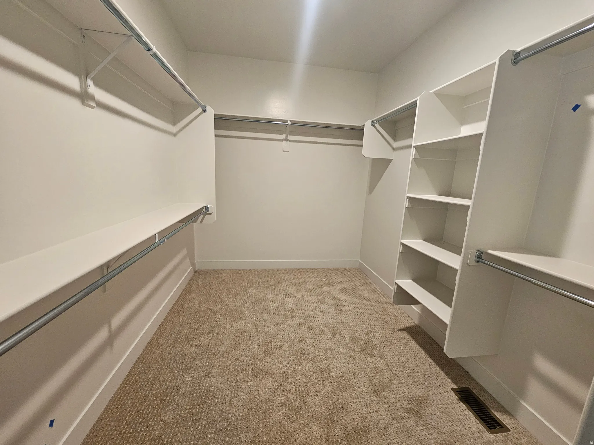 Expansive walk-in closet featuring light beige carpet flooring, built-in shelving, and multiple clothing rods