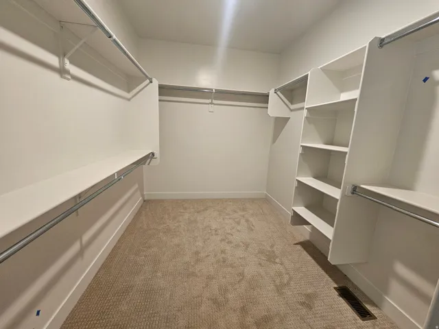 Expansive walk-in closet featuring light beige carpet flooring, built-in shelving, and multiple clothing rods