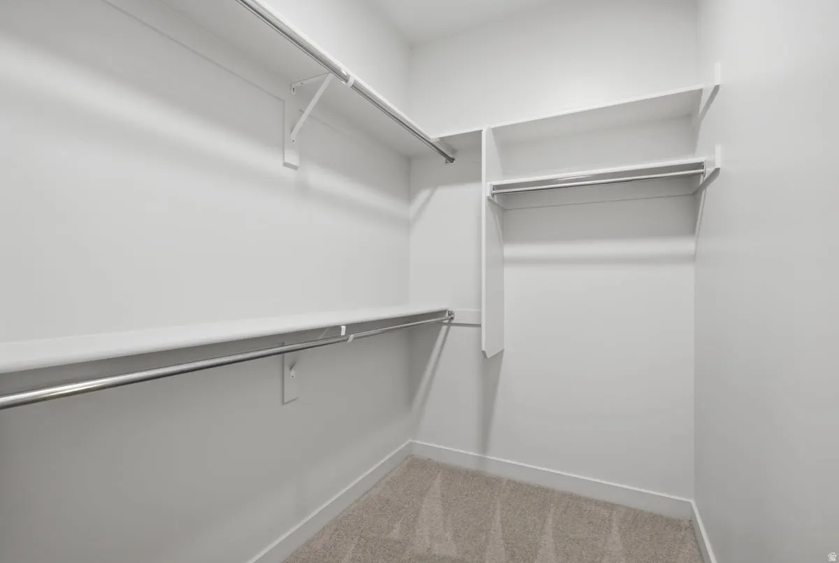 Walk-in closet with carpet flooring, white walls, multiple shelving units, and chrome hanging rods