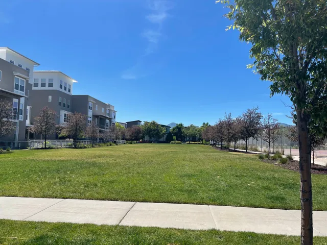 Expansive green space featuring a manicured lawn and a bordering sidewalk