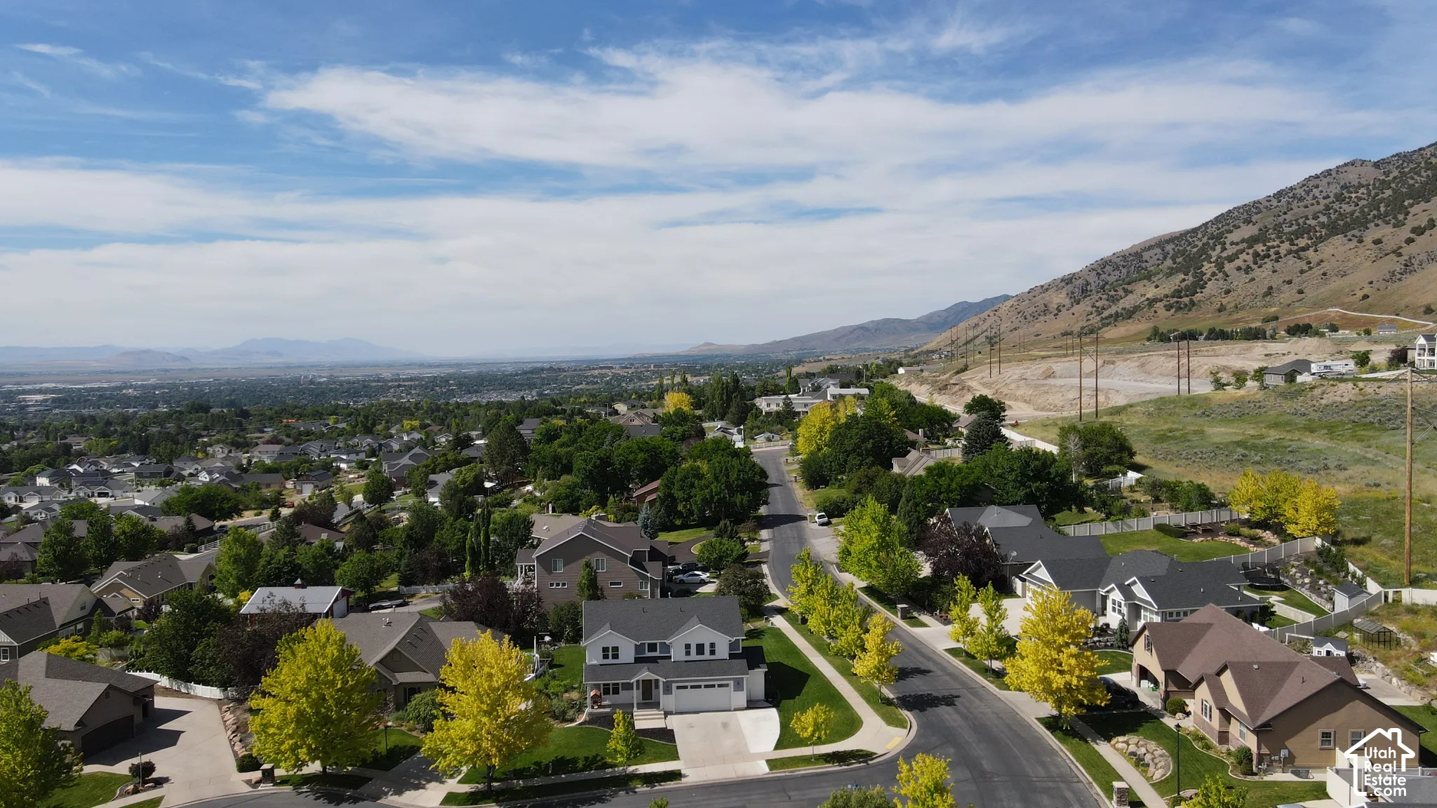 Residential neighborhood with established streets and mature landscaping