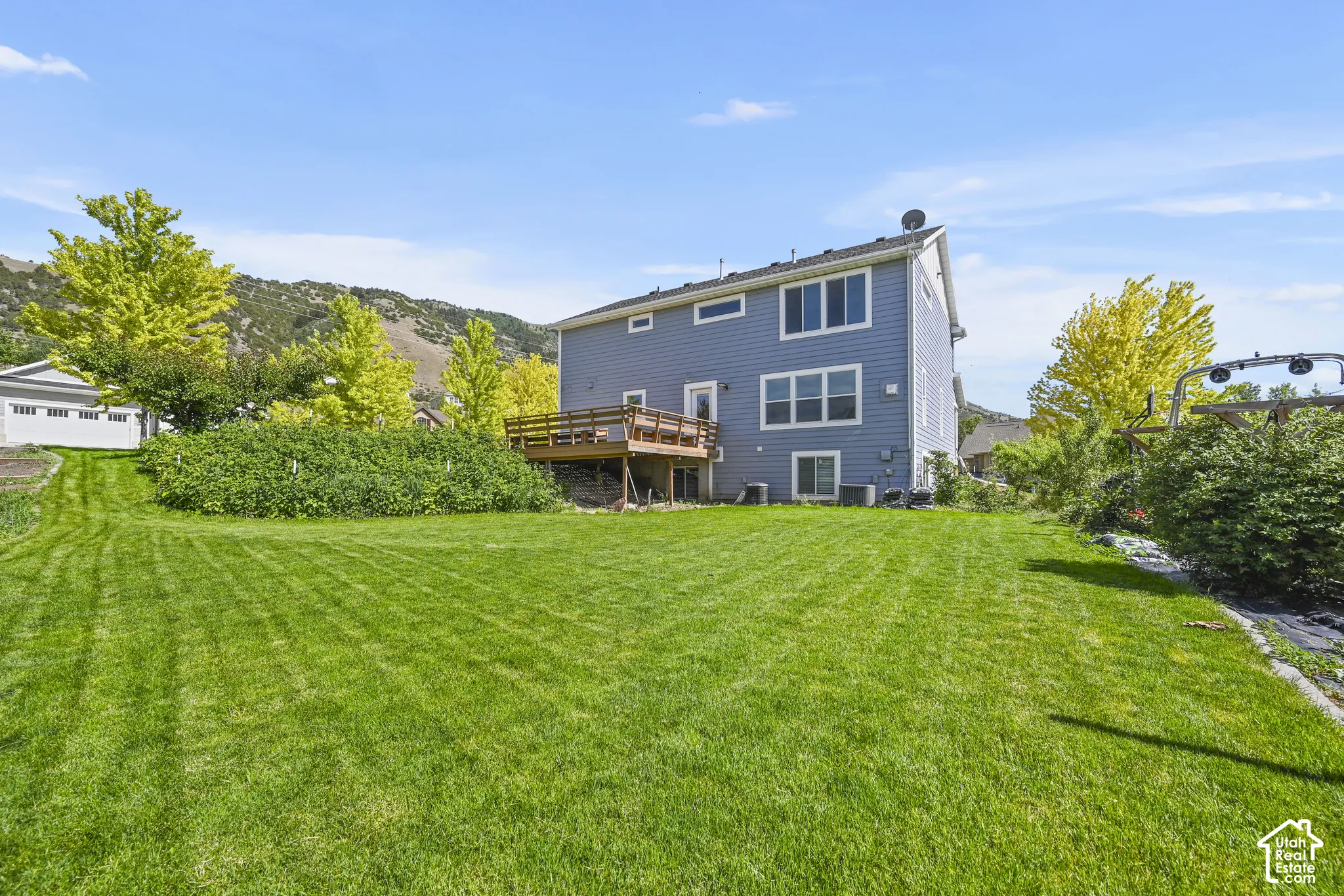 Expansive backyard featuring a manicured lawn, a raised wooden deck, mature trees, and a gray siding exterior