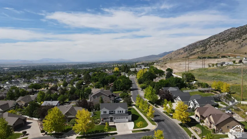 Residential neighborhood with established streets and mature landscaping