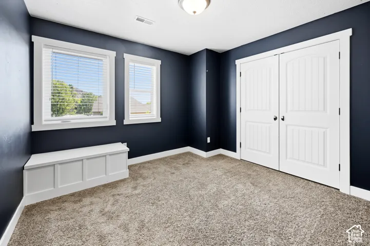 Room featuring dark-toned walls and plush carpet flooring