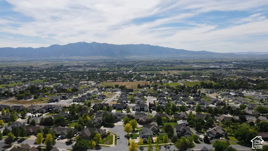Expansive residential area featuring numerous single-family homes, mature trees, and paved streets, with a distant mountain range backdrop