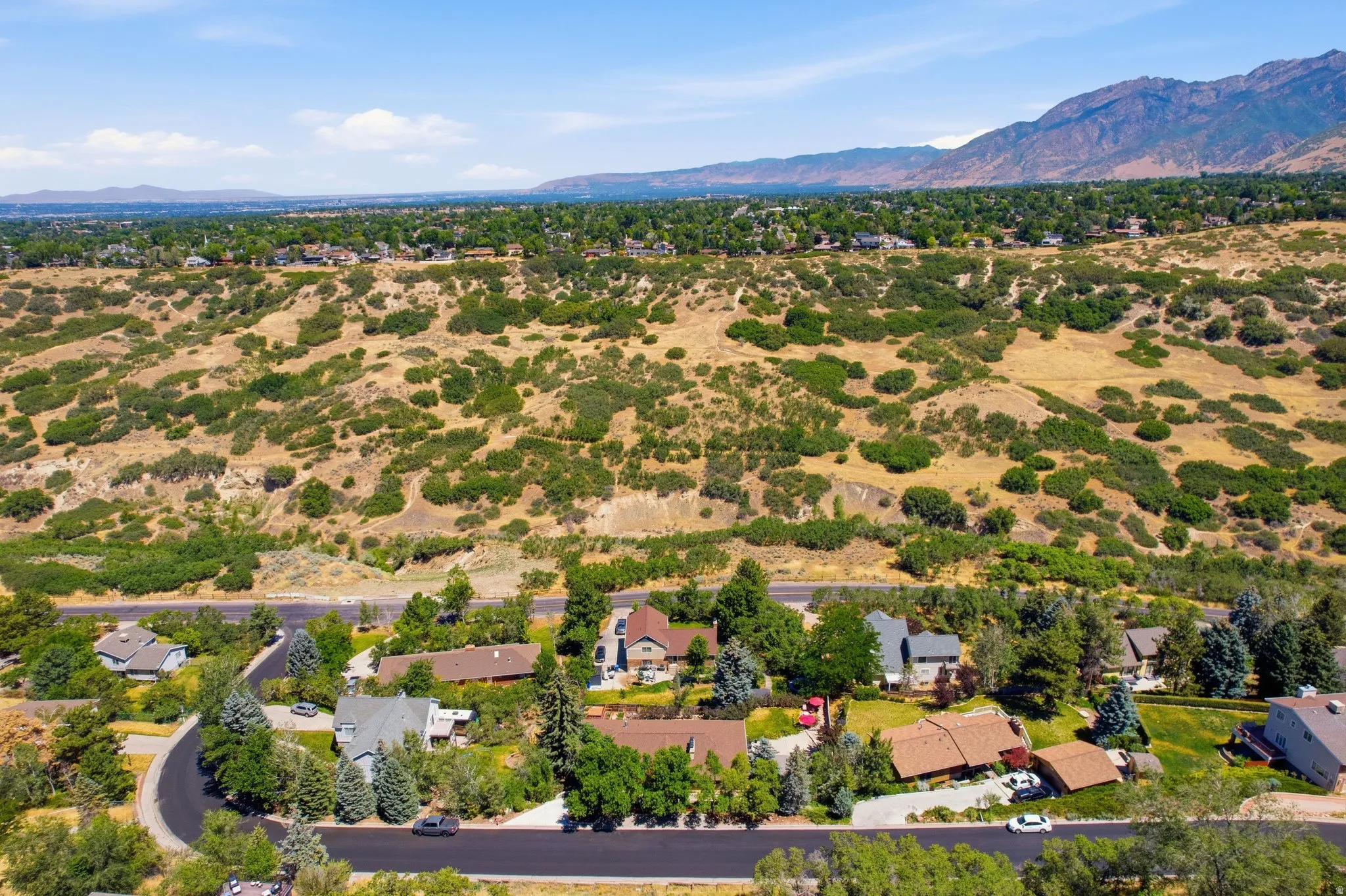Residential properties nestled on a winding street, surrounded by abundant mature trees and natural landscaping, with mountains in the background